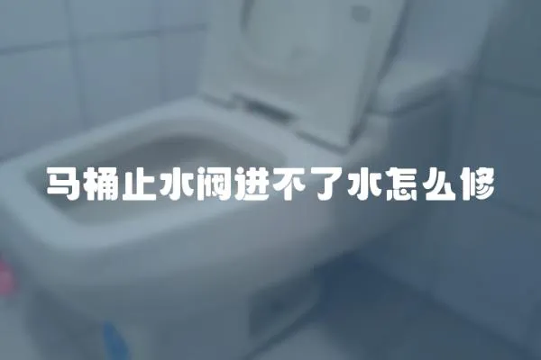 馬桶止水閥進不了水怎么修