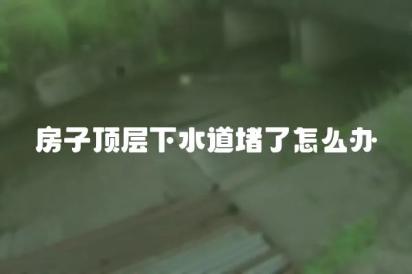 房子頂層下水道堵了怎么辦