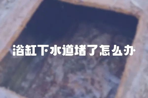 浴缸下水道堵了怎么辦