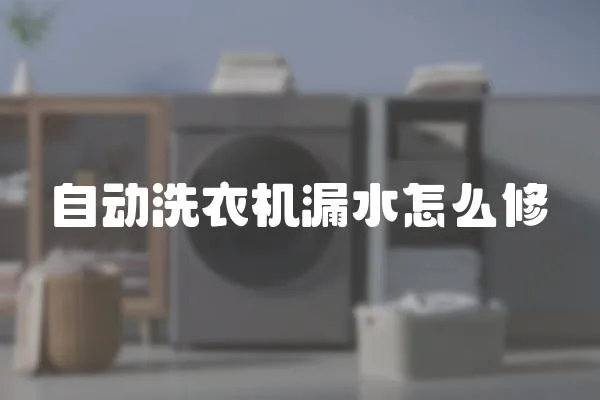 自動洗衣機漏水怎么修