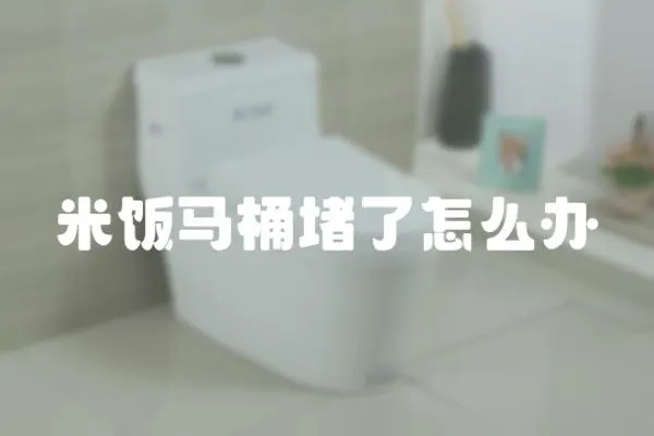 米飯馬桶堵了怎么辦