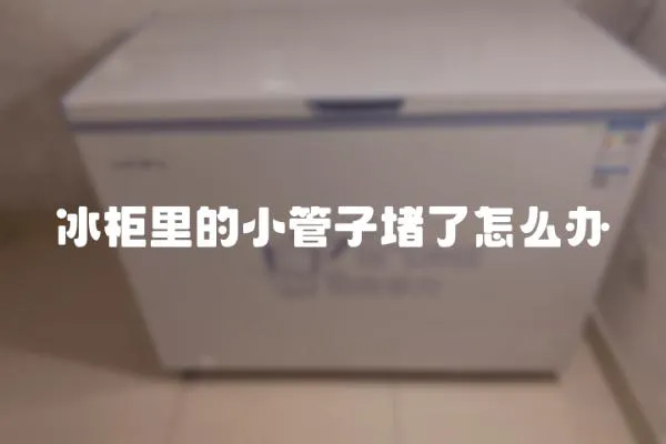 冰柜里的小管子堵了怎么辦