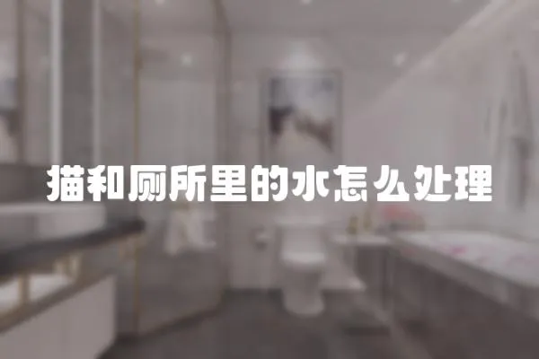 貓和廁所里的水怎么處理