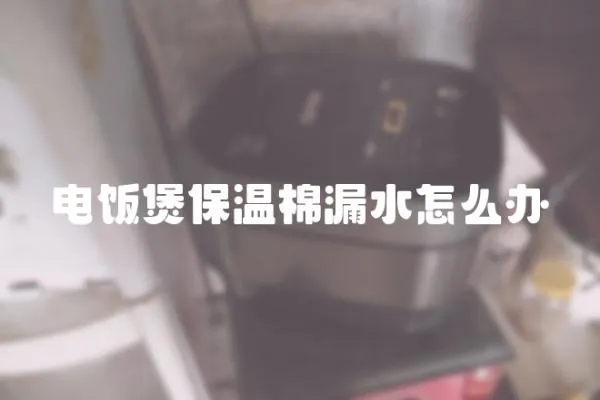 电饭煲保温棉漏水怎么办