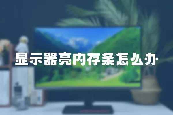 顯示器亮內存條怎么辦
