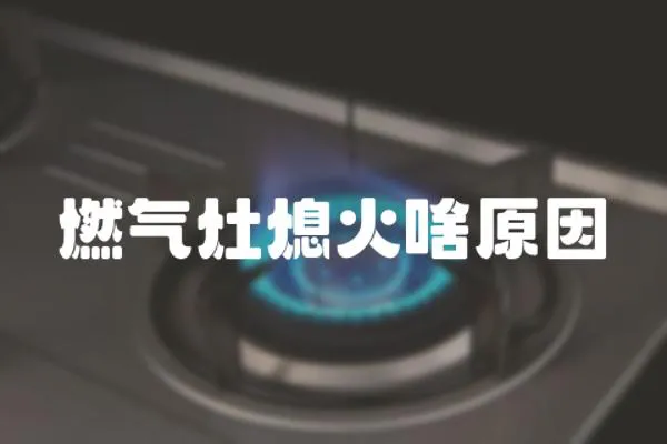 燃?xì)庠钕ɑ鹕对?></a></div>
                    </div>
                    <div   id=