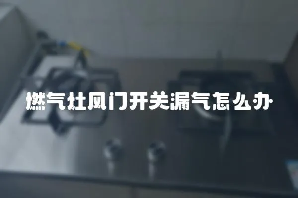 燃?xì)庠铒L(fēng)門開關(guān)漏氣怎么辦