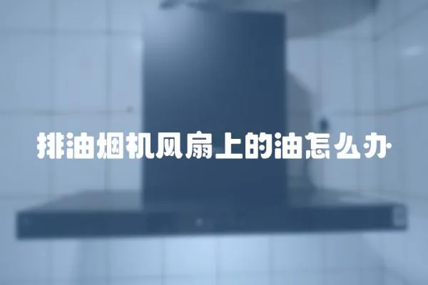 排油煙機(jī)風(fēng)扇上的油怎么辦