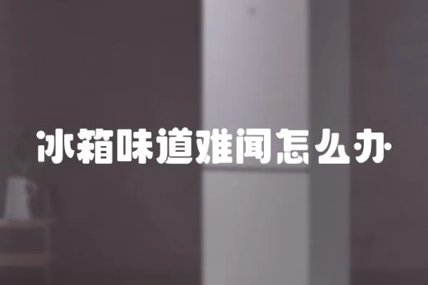 冰箱味道難聞怎么辦