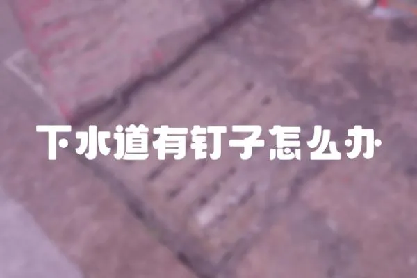下水道有釘子怎么辦