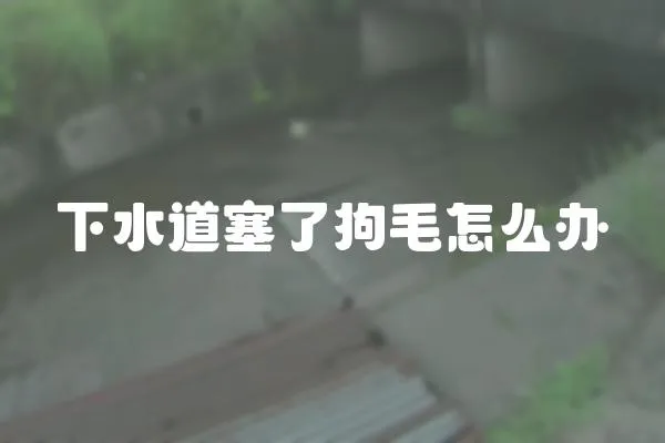 下水道塞了狗毛怎么辦