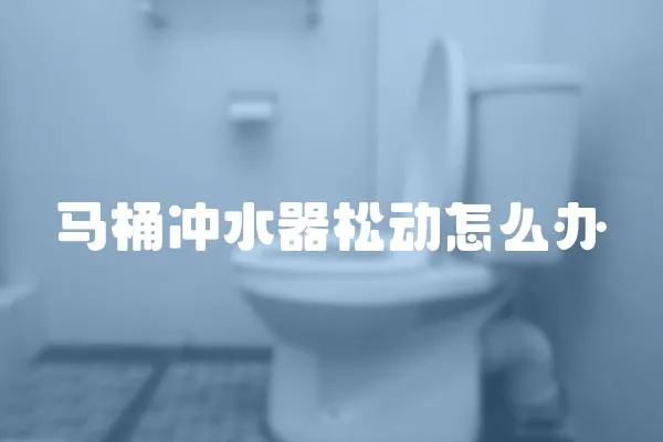 馬桶沖水器松動怎么辦
