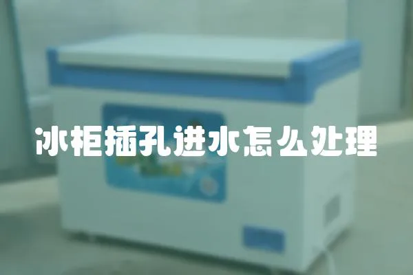 冰柜插孔進水怎么處理