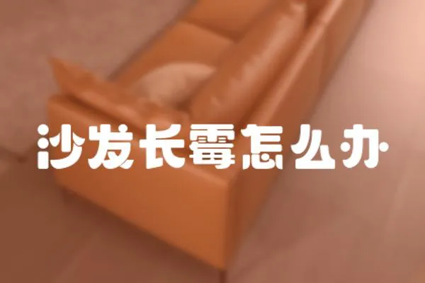 沙發(fā)長霉怎么辦