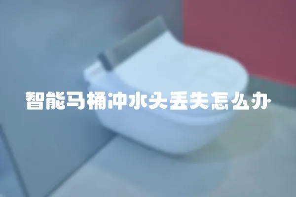 智能马桶冲水头丢失怎么办