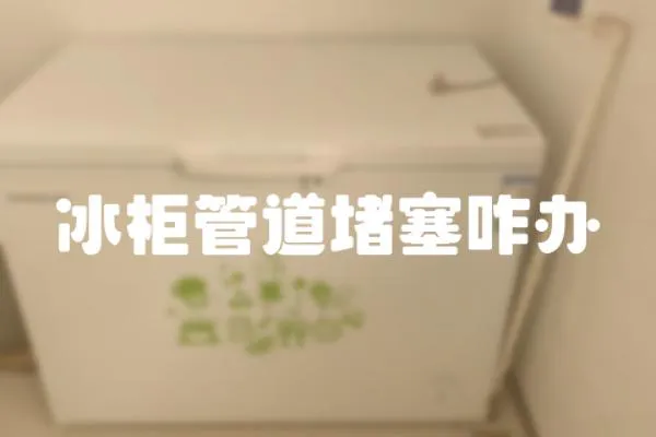 冰柜管道堵塞咋辦