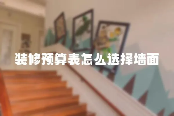 裝修預算表怎么選擇墻面