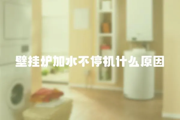 壁掛爐加水不停機什么原因