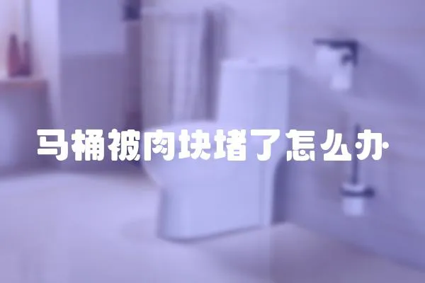 馬桶被肉塊堵了怎么辦
