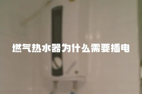 燃氣熱水器為什么需要插電