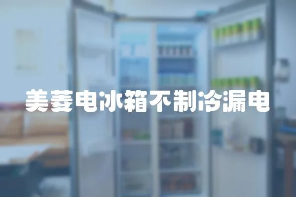 美菱電冰箱不制冷漏電