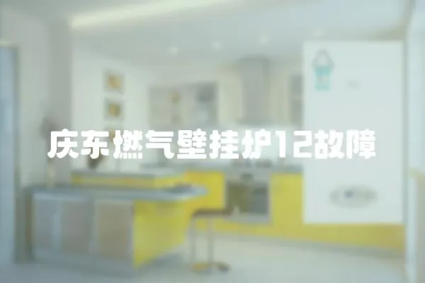 慶東燃?xì)獗趻鞝t12故障