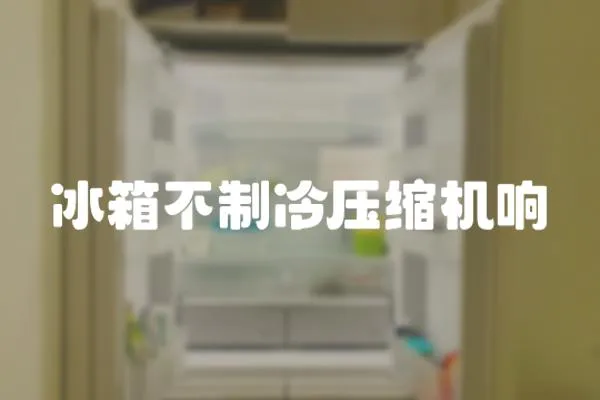 冰箱不制冷壓縮機(jī)響