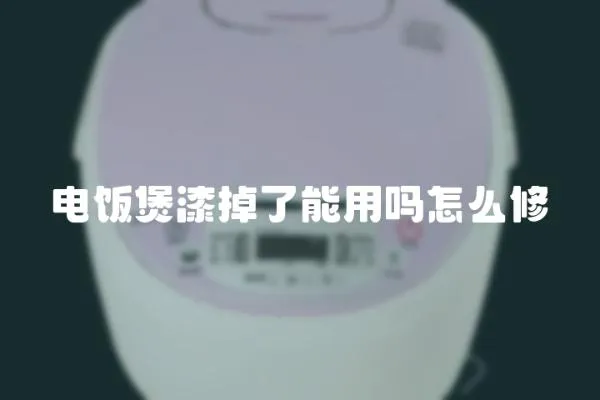電飯煲漆掉了能用嗎怎么修