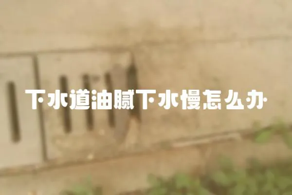 下水道油膩下水慢怎么辦
