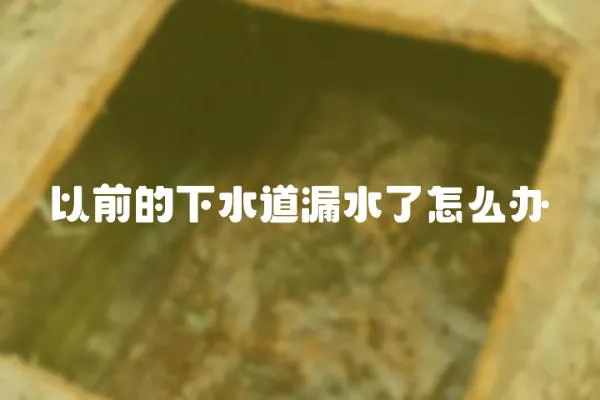 以前的下水道漏水了怎么辦