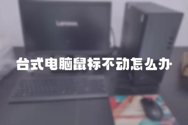 臺式電腦鼠標不動怎么辦