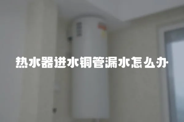 熱水器進水銅管漏水怎么辦