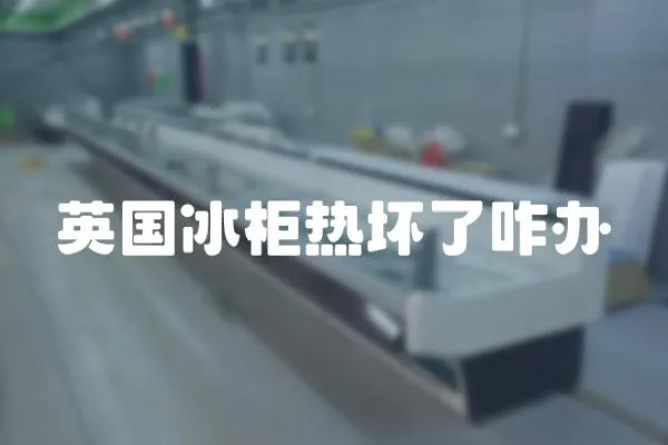 英國冰柜熱壞了咋辦