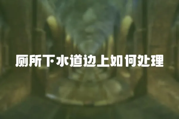 廁所下水道邊上如何處理