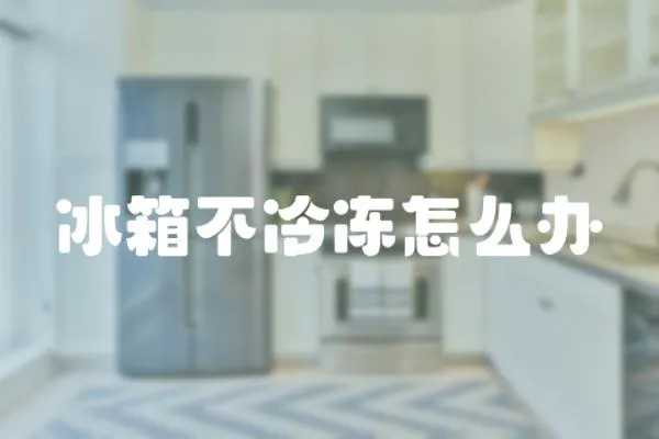 冰箱不冷凍怎么辦