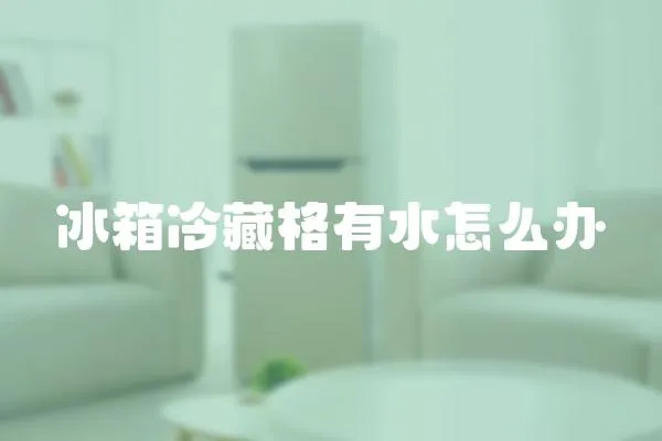 冰箱冷藏格有水怎么辦