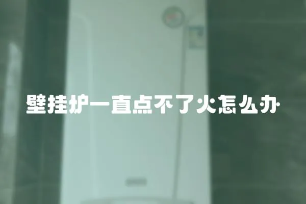 壁掛爐一直點不了火怎么辦
