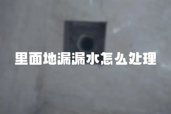 里面地漏漏水怎么處理