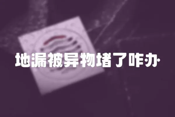 地漏被異物堵了咋辦