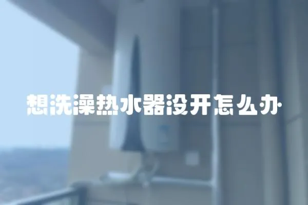 想洗澡熱水器沒(méi)開(kāi)怎么辦