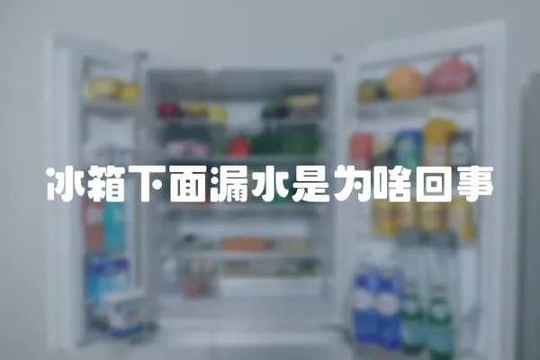 冰箱下面漏水是為啥回事