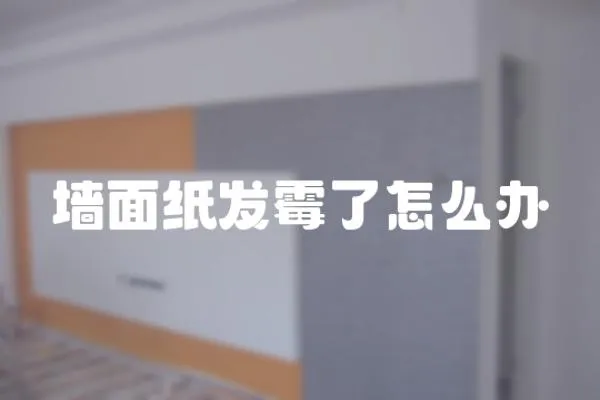 墻面紙發霉了怎么辦