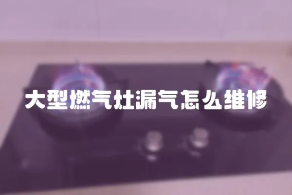 大型燃氣灶漏氣怎么維修