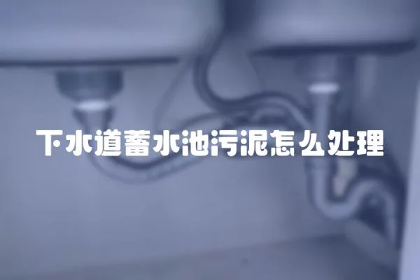 下水道蓄水池污泥怎么处理