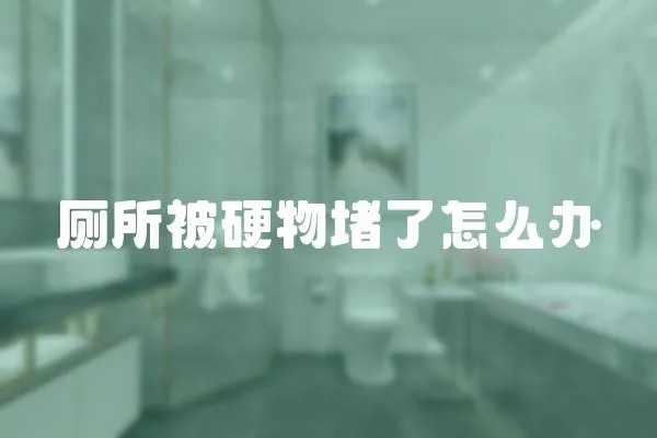 廁所被硬物堵了怎么辦