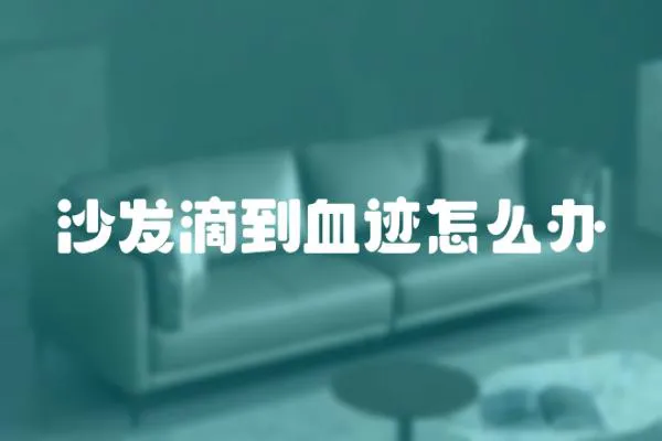 沙發滴到血跡怎么辦