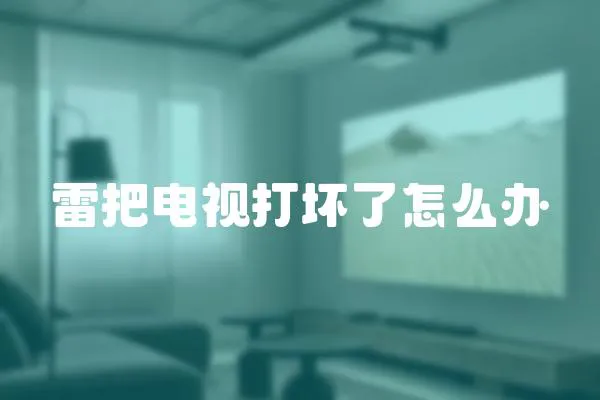 雷把電視打壞了怎么辦