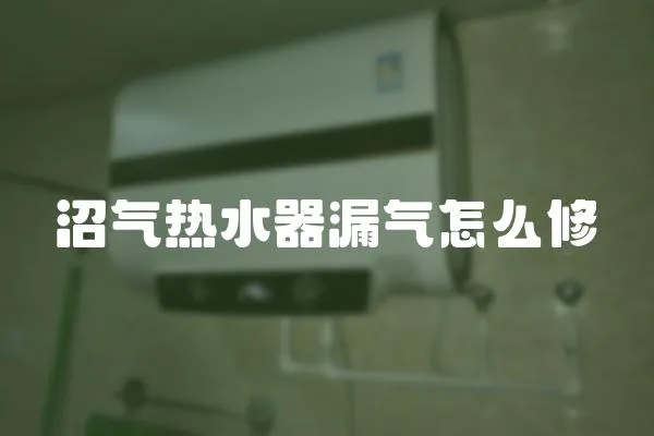 沼氣熱水器漏氣怎么修