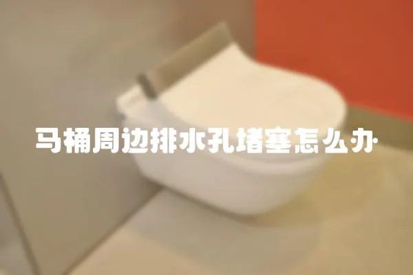 馬桶周邊排水孔堵塞怎么辦