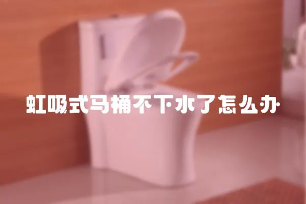 虹吸式馬桶不下水了怎么辦